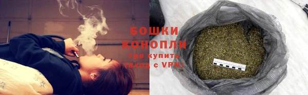 шишки Алзамай