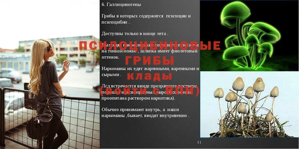шишки Алзамай